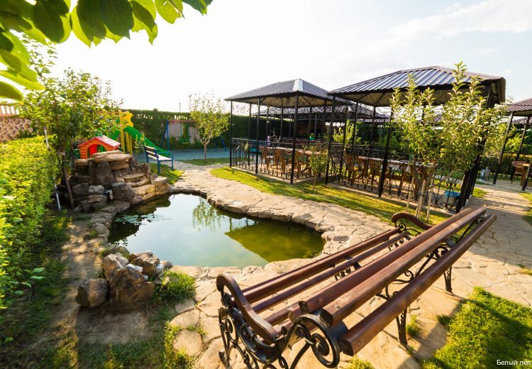 Фото Белый Лев