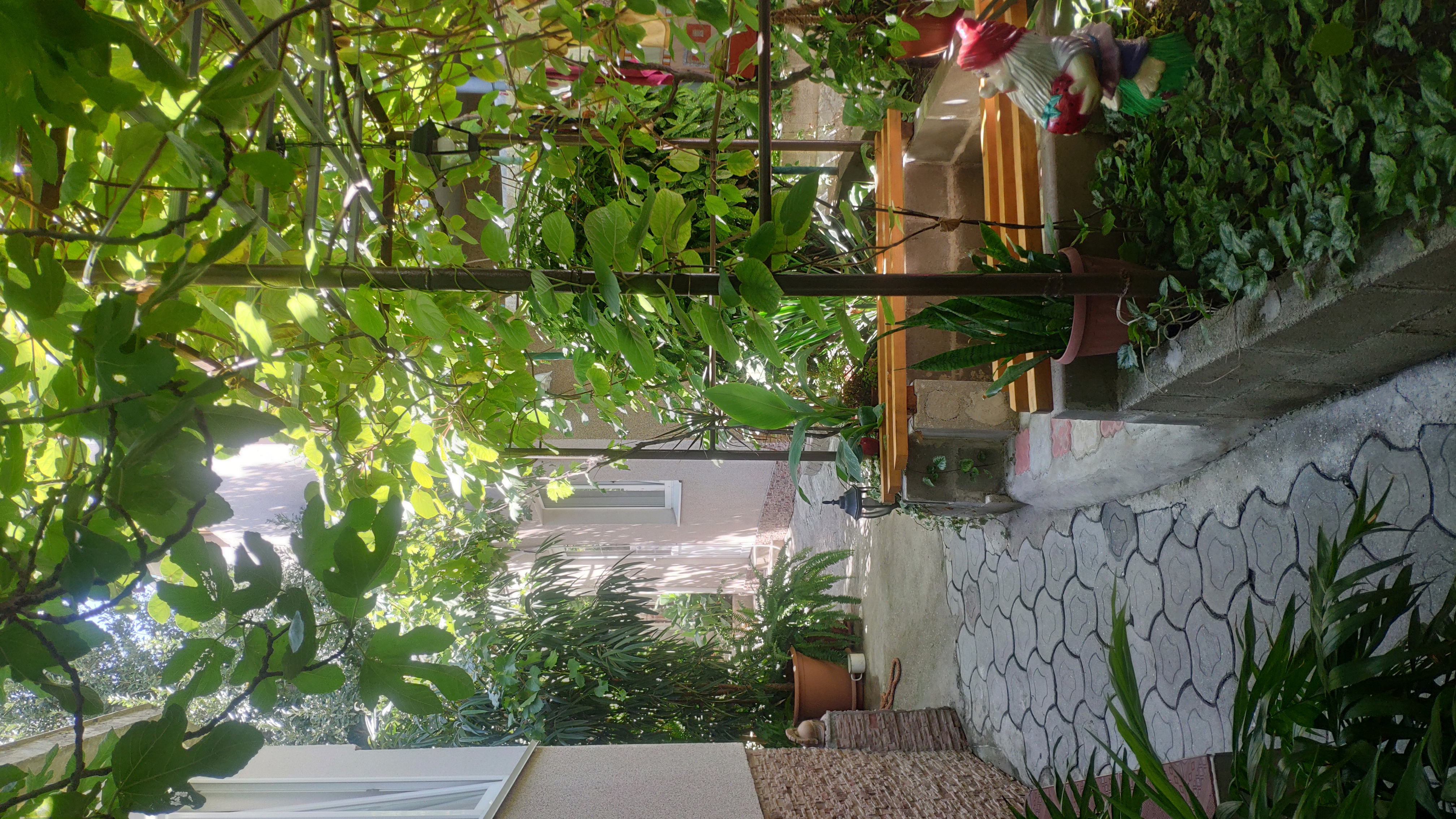 Фото У Барса