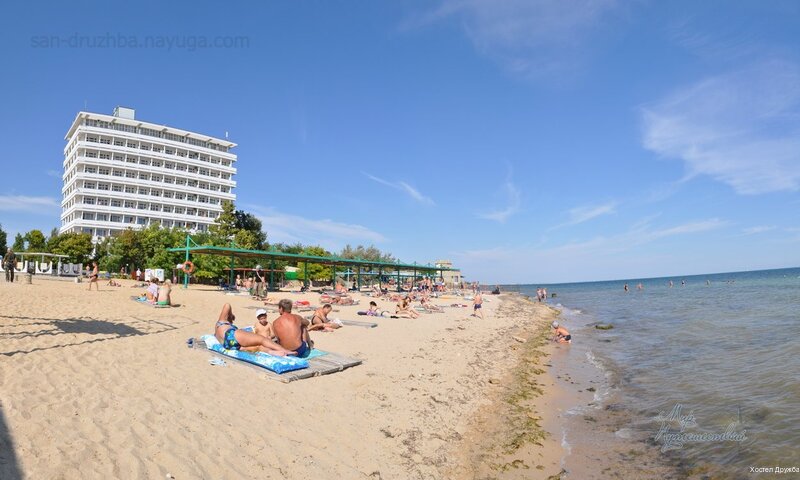 Фото Дружба