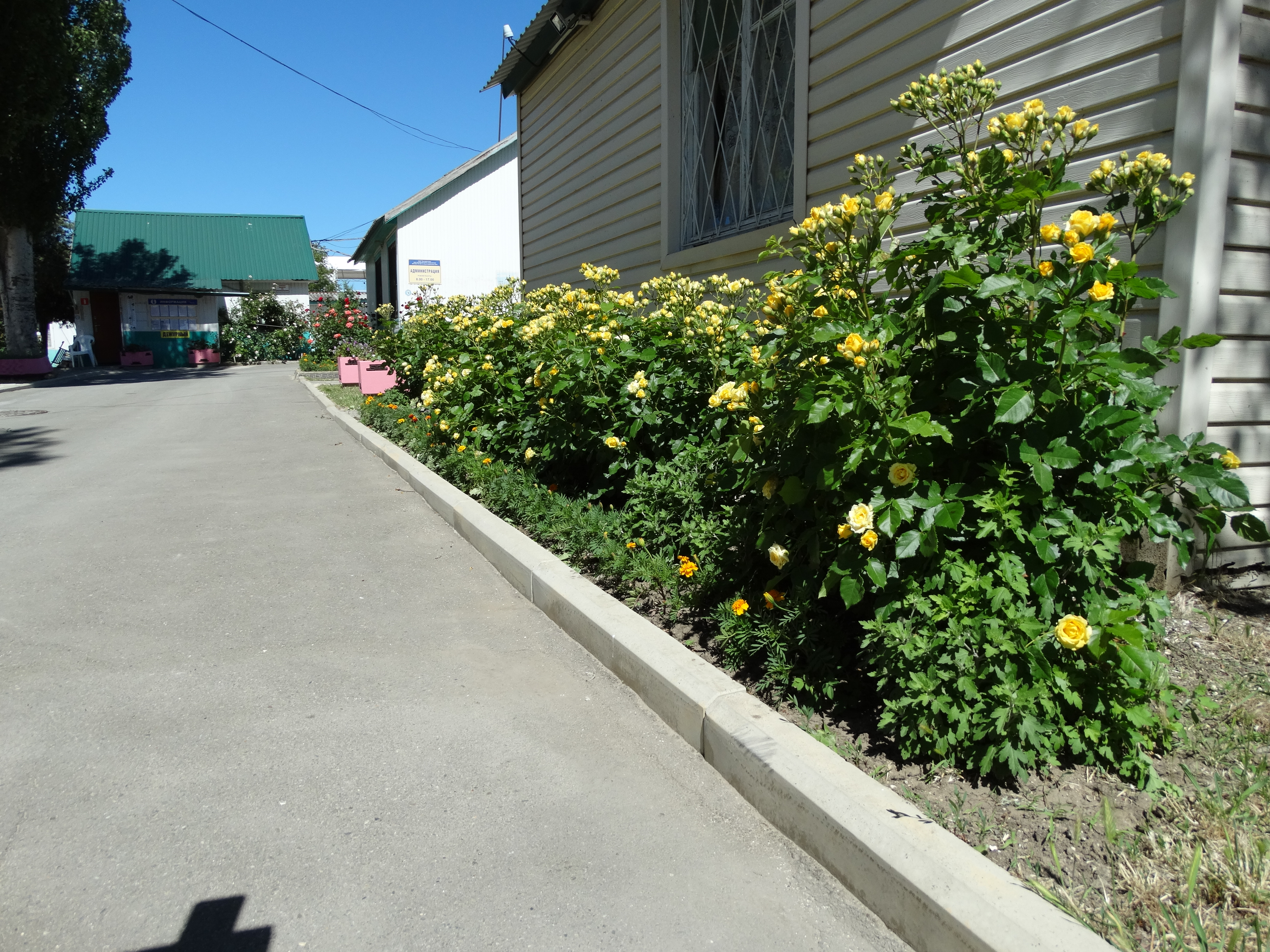 Фото Песчаная коса