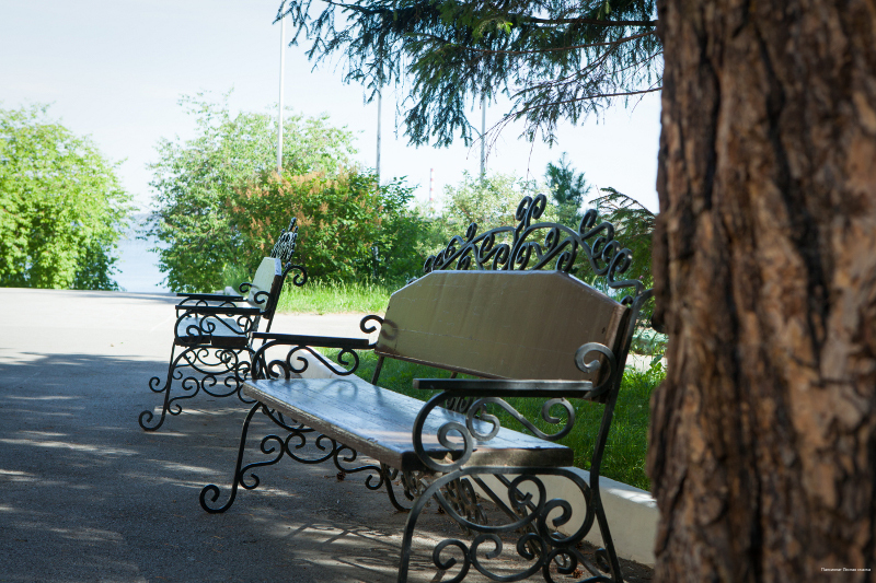 Фото Лесная сказка