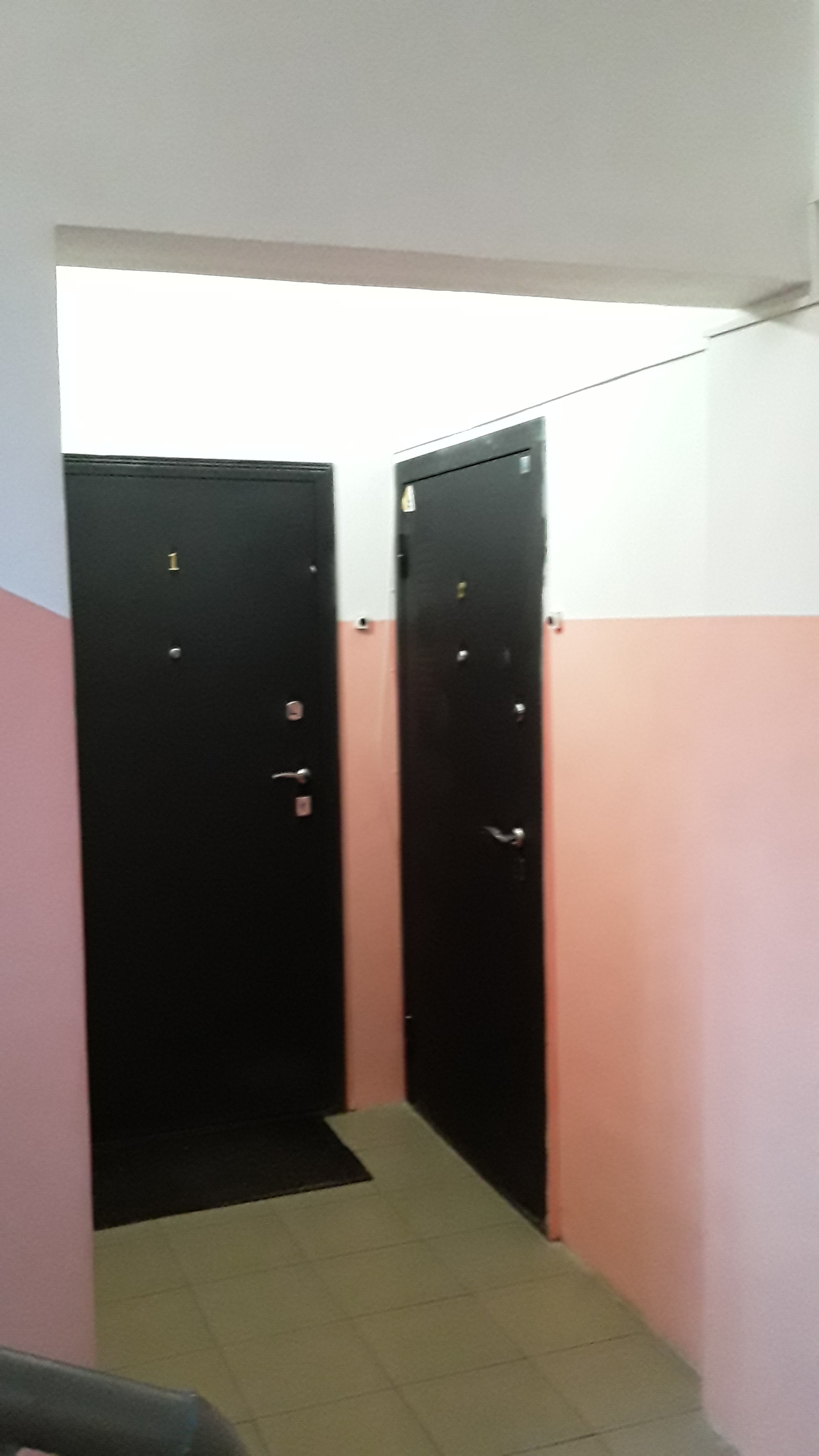 Фото Брусника