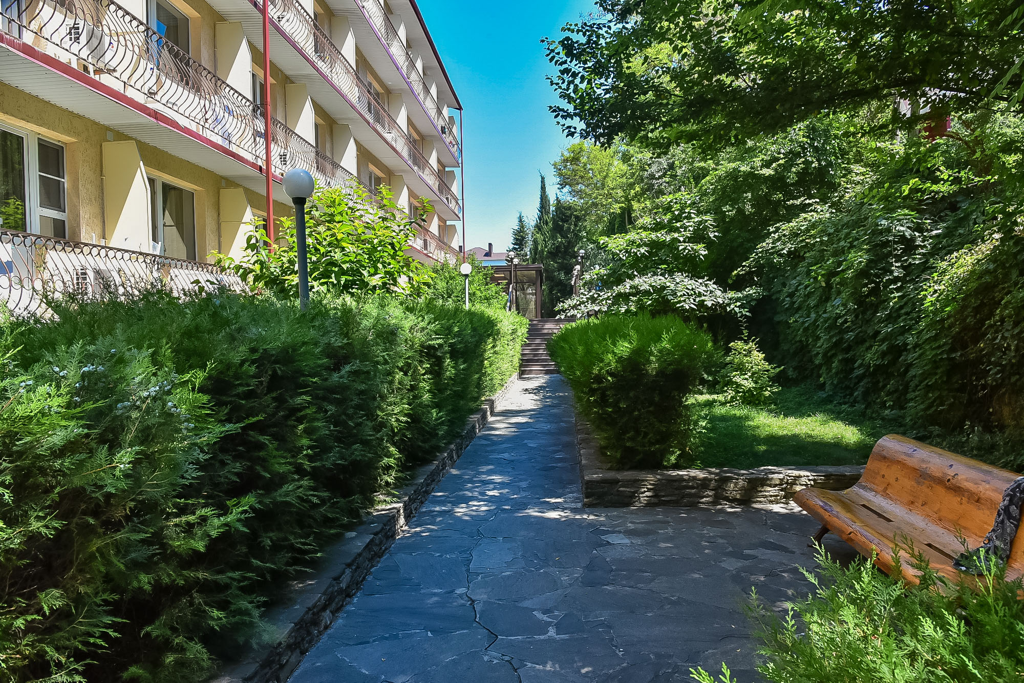 Фото Фламинго