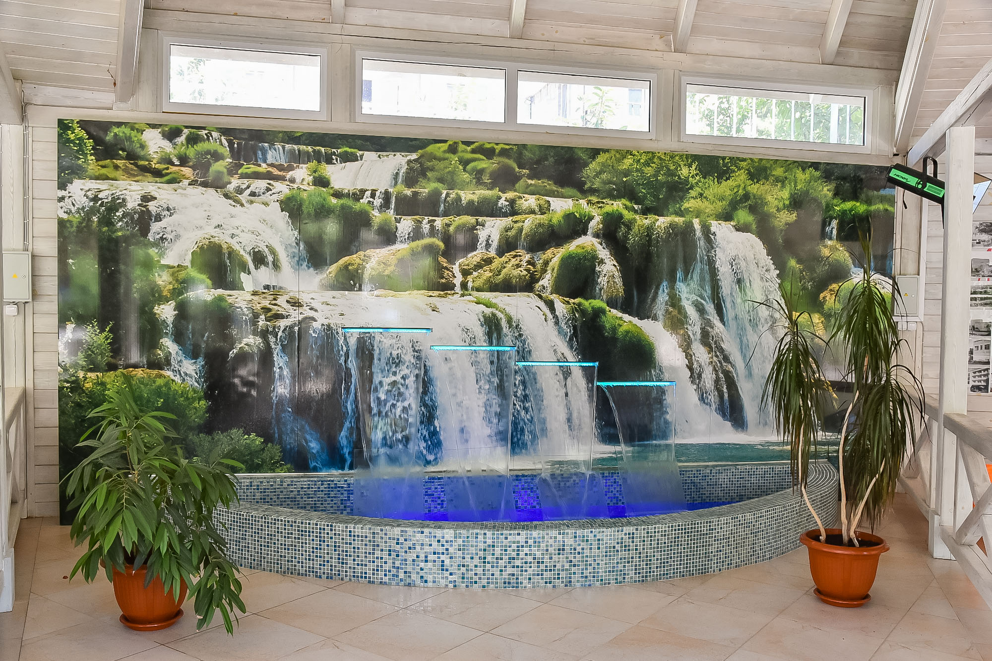 Фото Фламинго