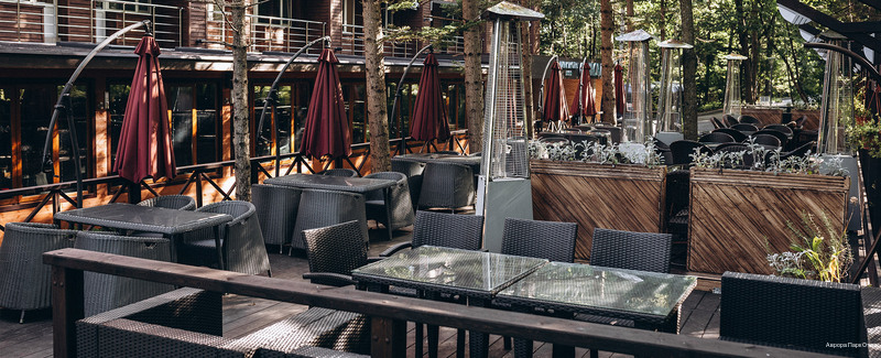 Фото Аврора 