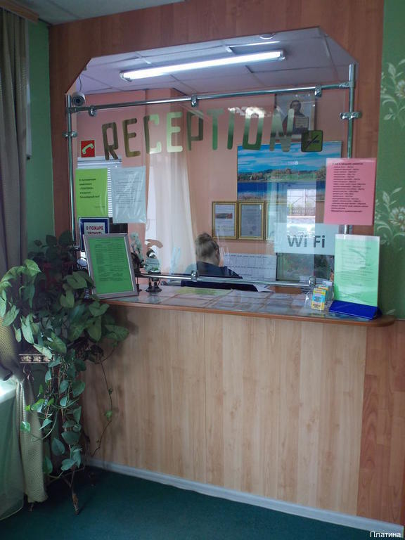 Фото Платина