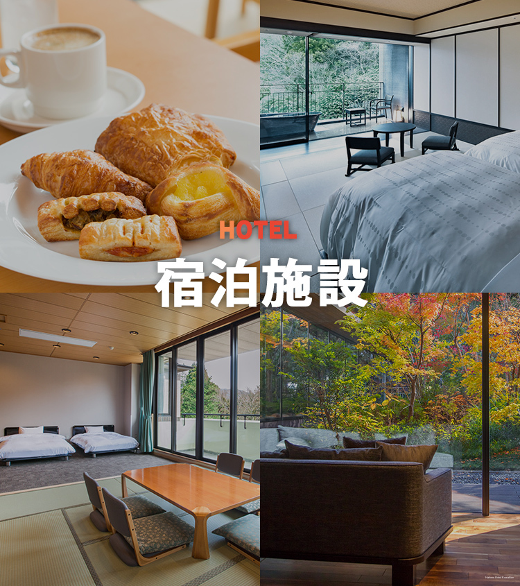 Фото Hakone Kowakien Miyama Furin