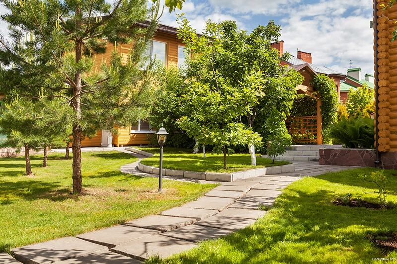 Фото Сосновый бор