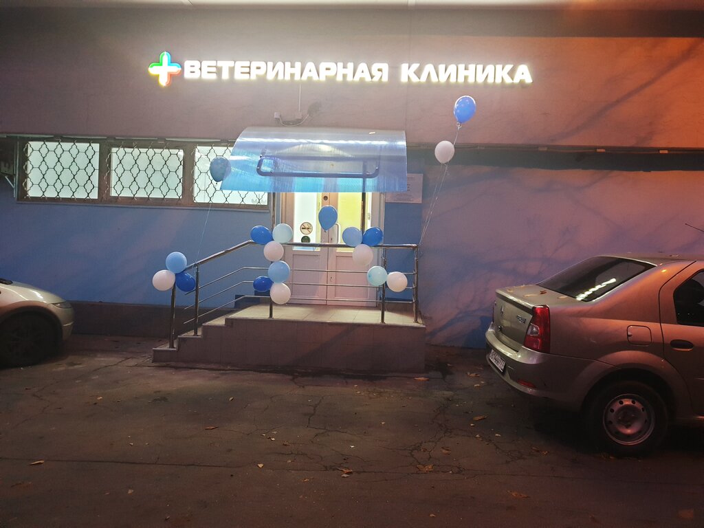 Ветеринарная клиника просп генерала тюленева 4б фото
