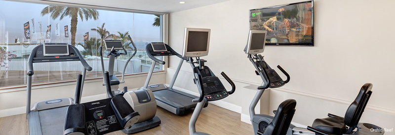 Фото Herbert Samuel The Reef Eilat