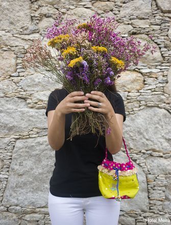 Фото Hotel Meira