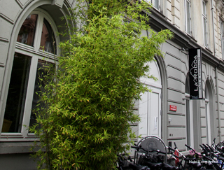 Фото Hotel Kong Arthur