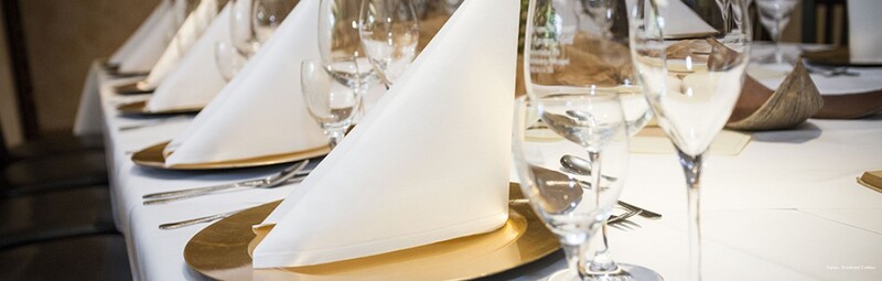 Фото Spree-Waldhotel Cottbus