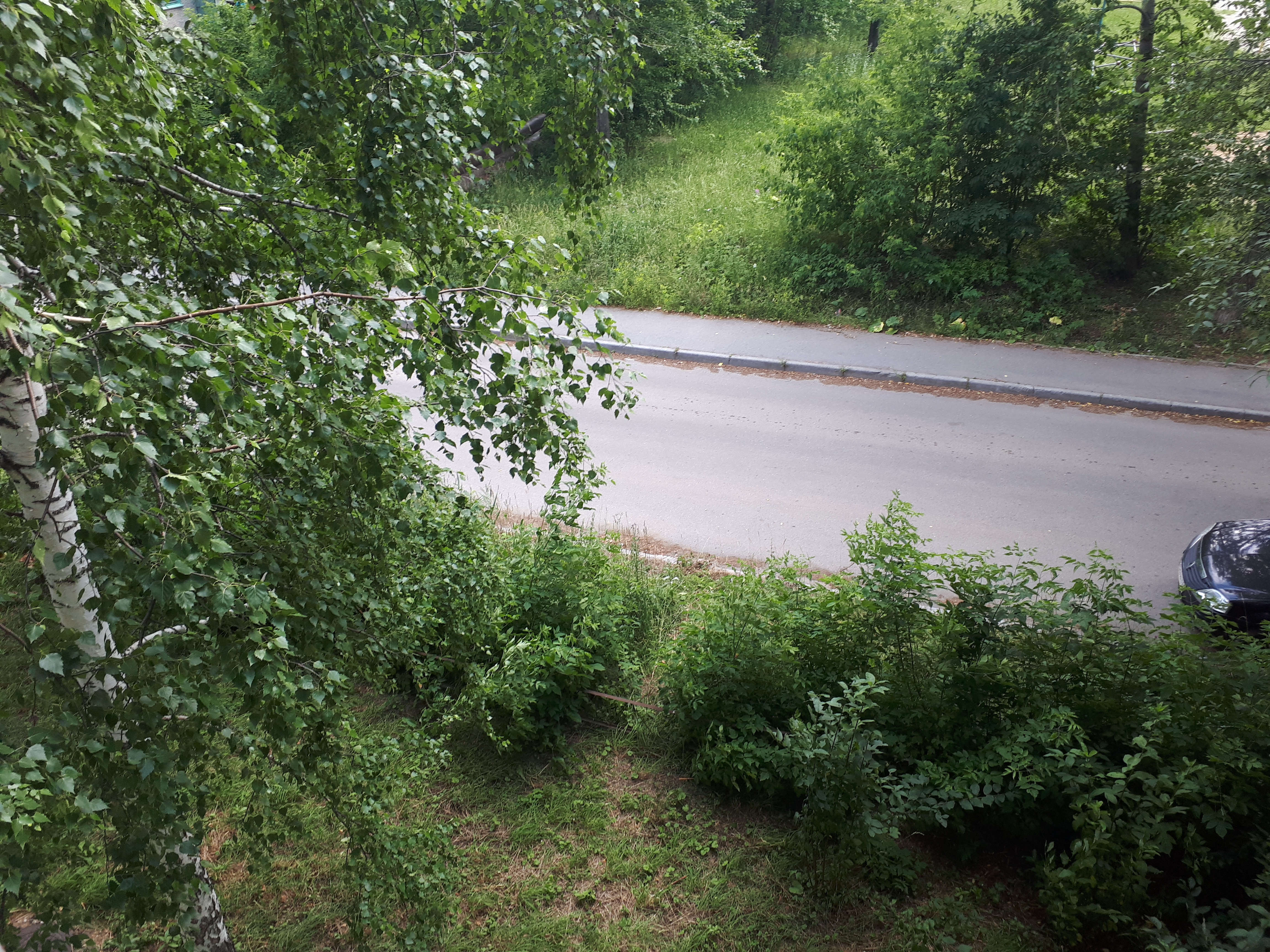 Фото Домашний