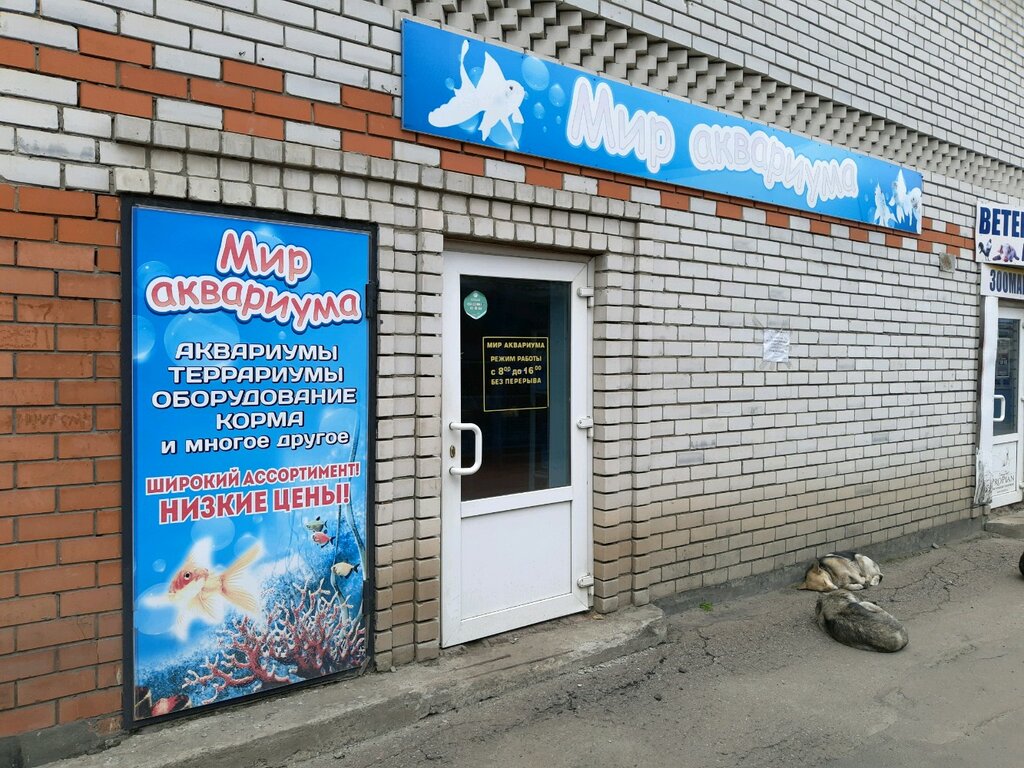 Aquariums Mir akvariuma, Kursk, photo