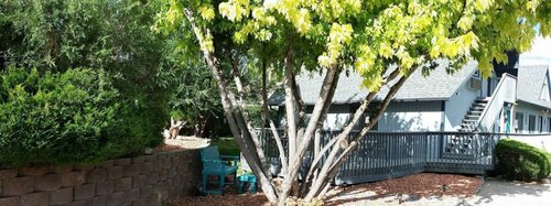 Гостиница Sweetgrass Inn B&b