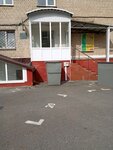 Черепаха-дом (Nikolaya Chumichova Street, 38), diseño de interiores