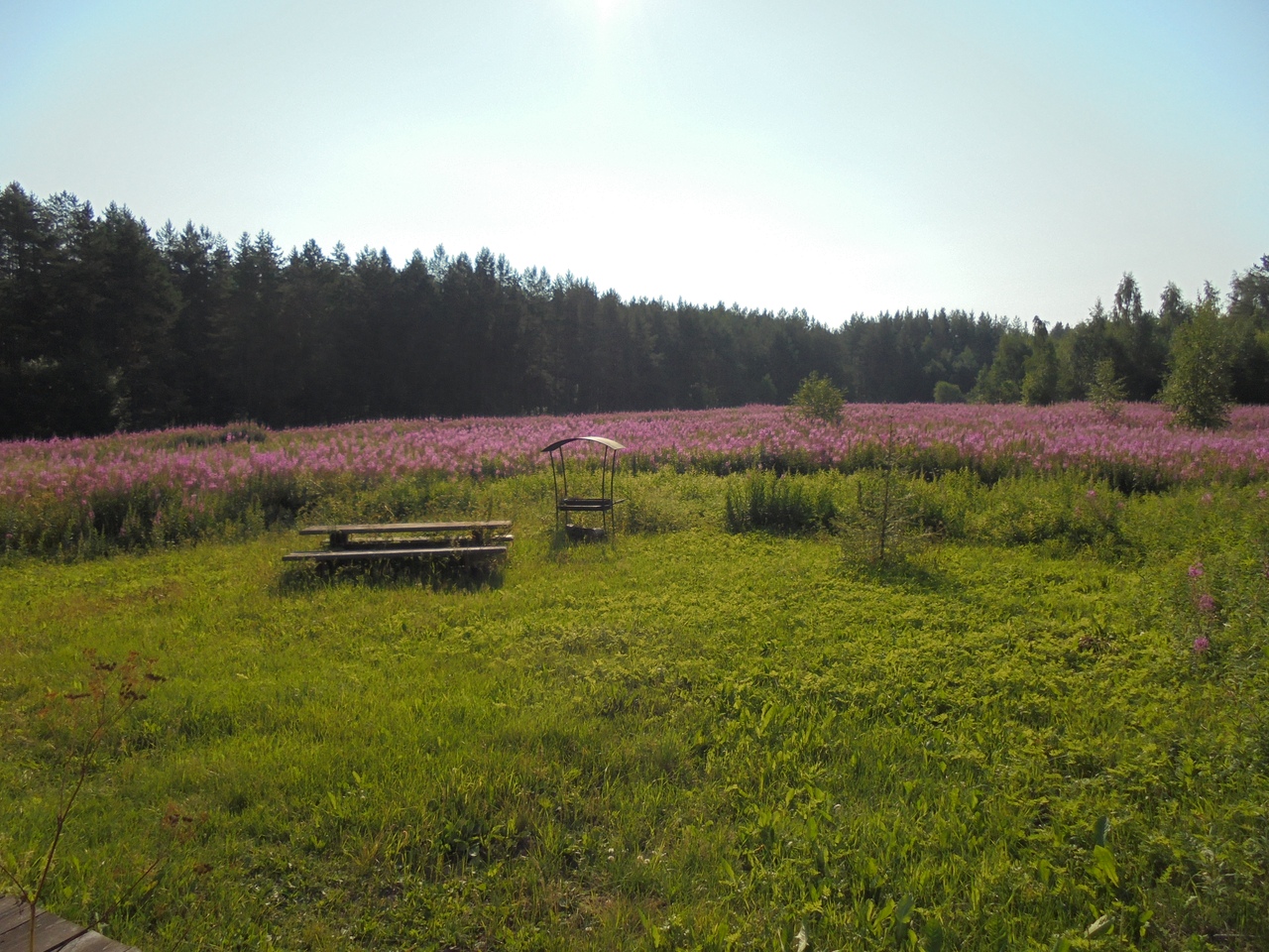 Фото Курмойла