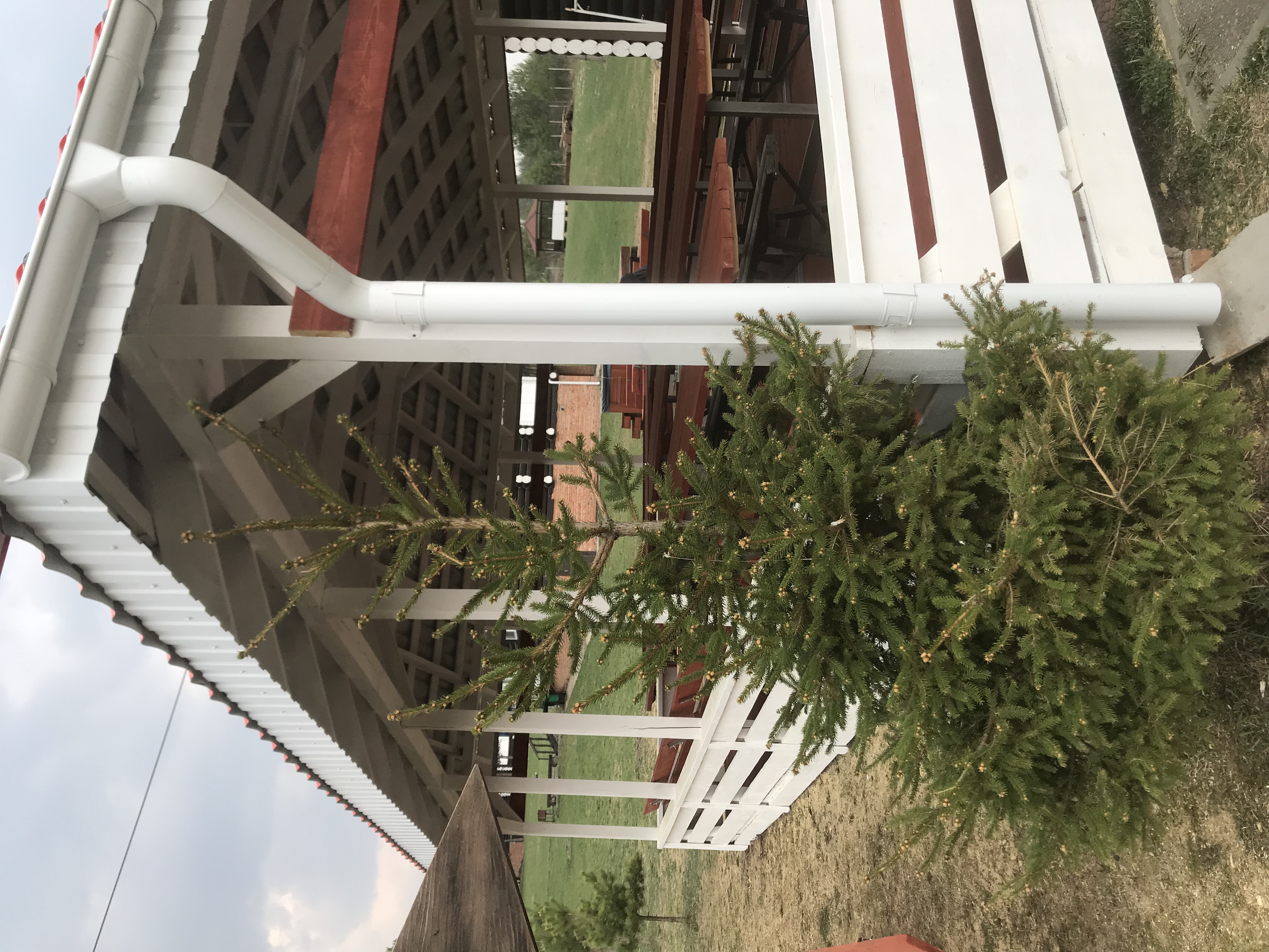 Фото Лежневская лагуна