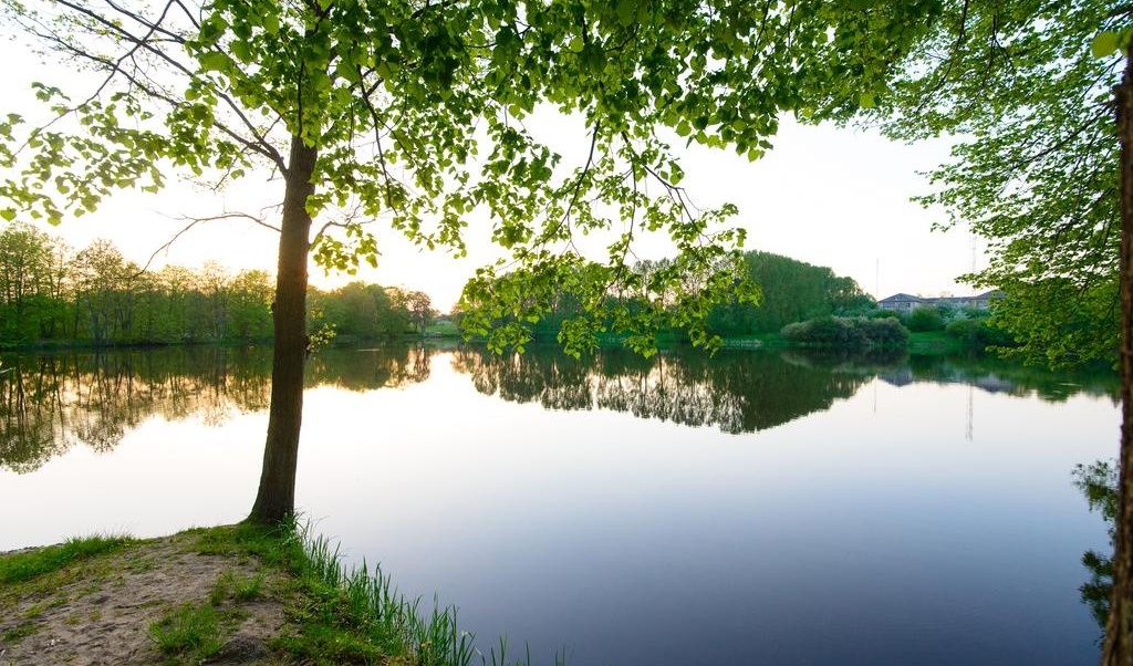 Фото Филипп