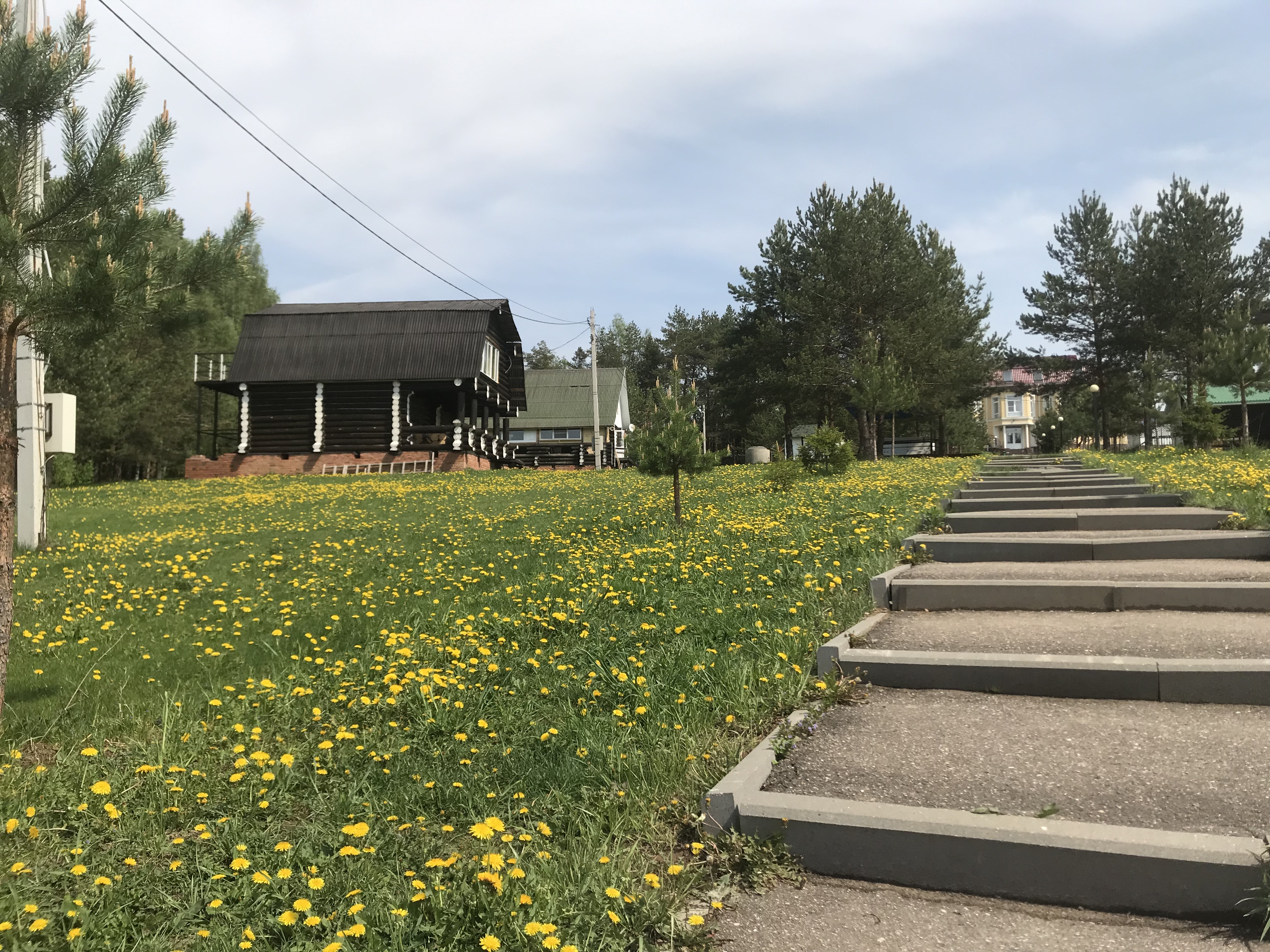 Фото Лежневская лагуна