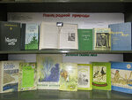 Никольская сельская библиотека (selo Nikolskoye, Proletarskaya ulitsa, 2), library