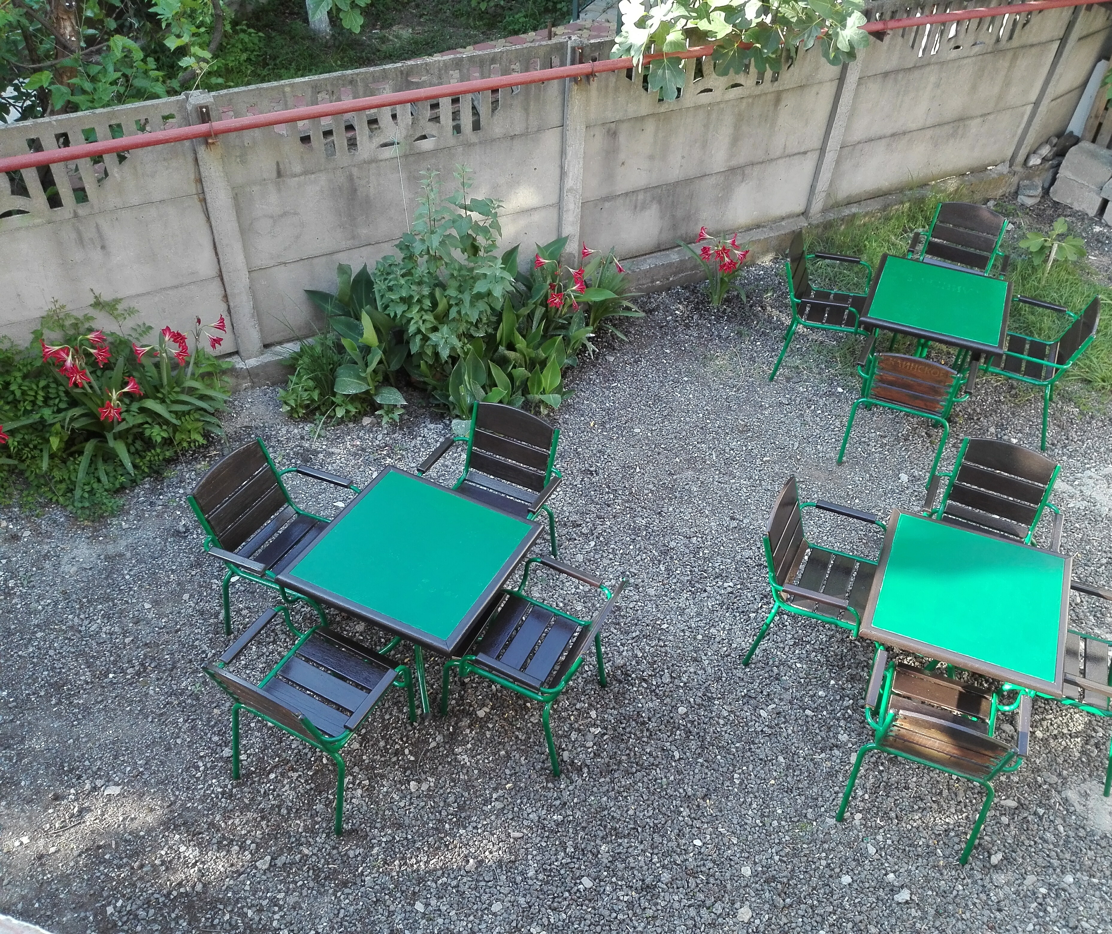 Фото Анжелика