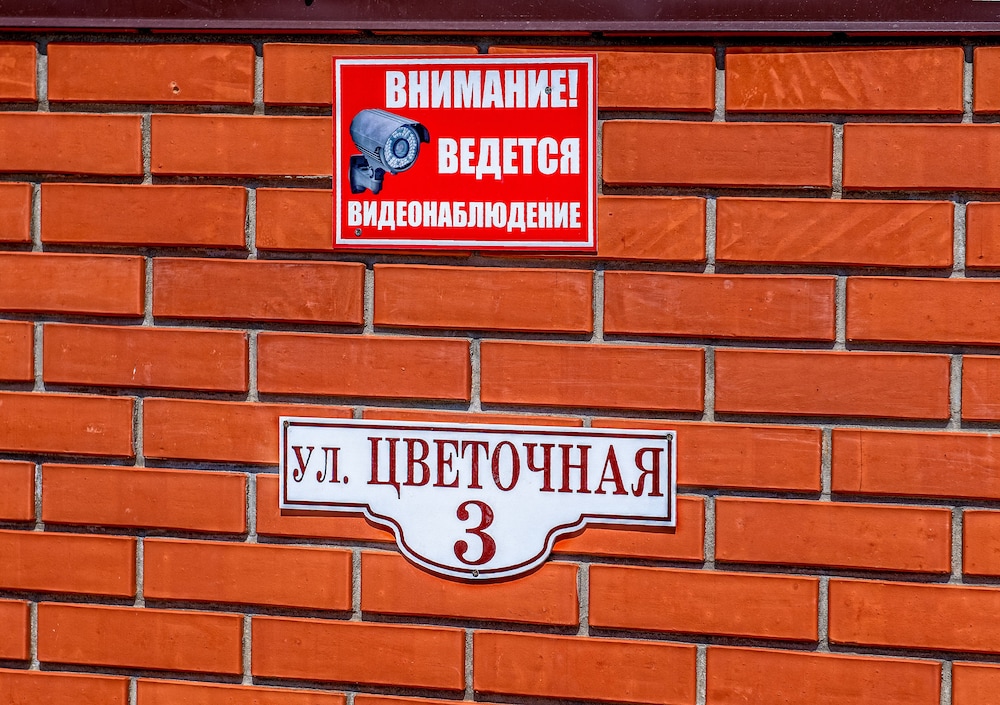 Фото Двор сурка