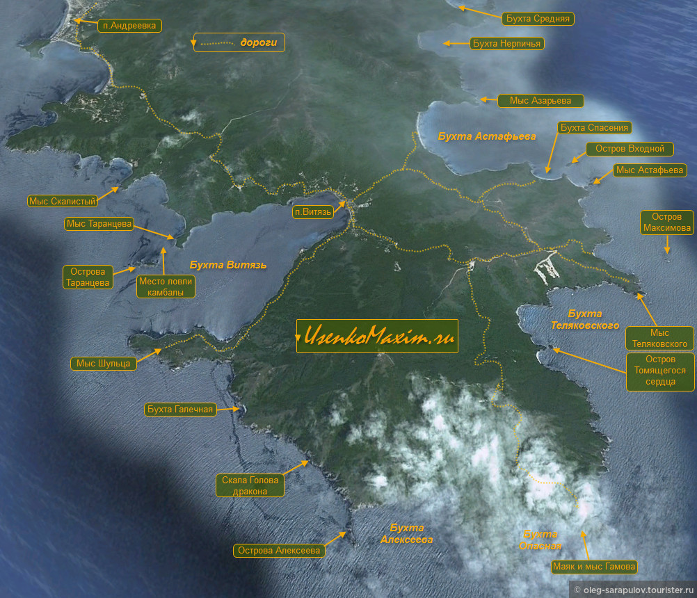 Фото Ромашка-Витязь