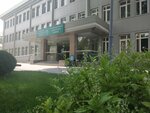 Children's Social Adaptation Center (Yakkasaray District, Abdulla Qahhor Street, 34) ، قسم الخدمات البشرية