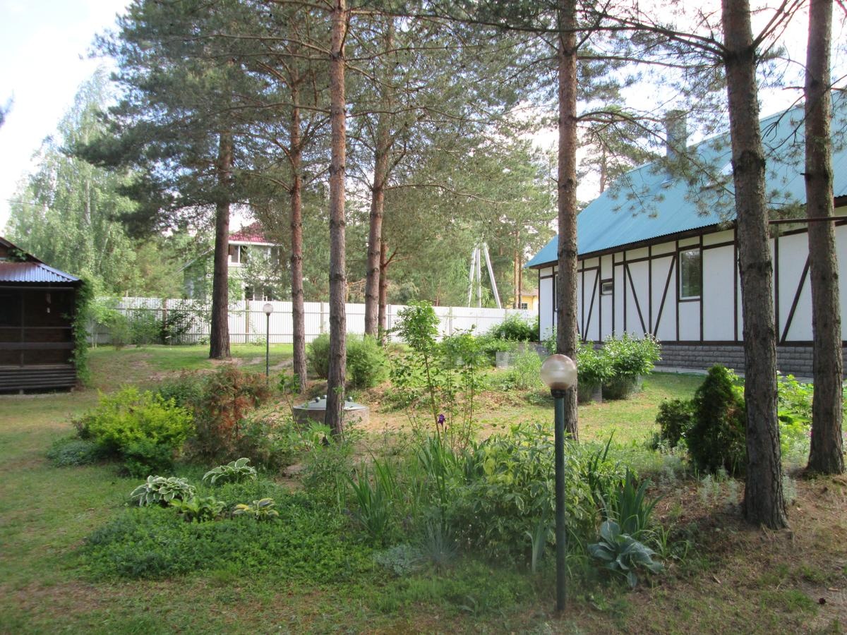 Фото Дом под соснами