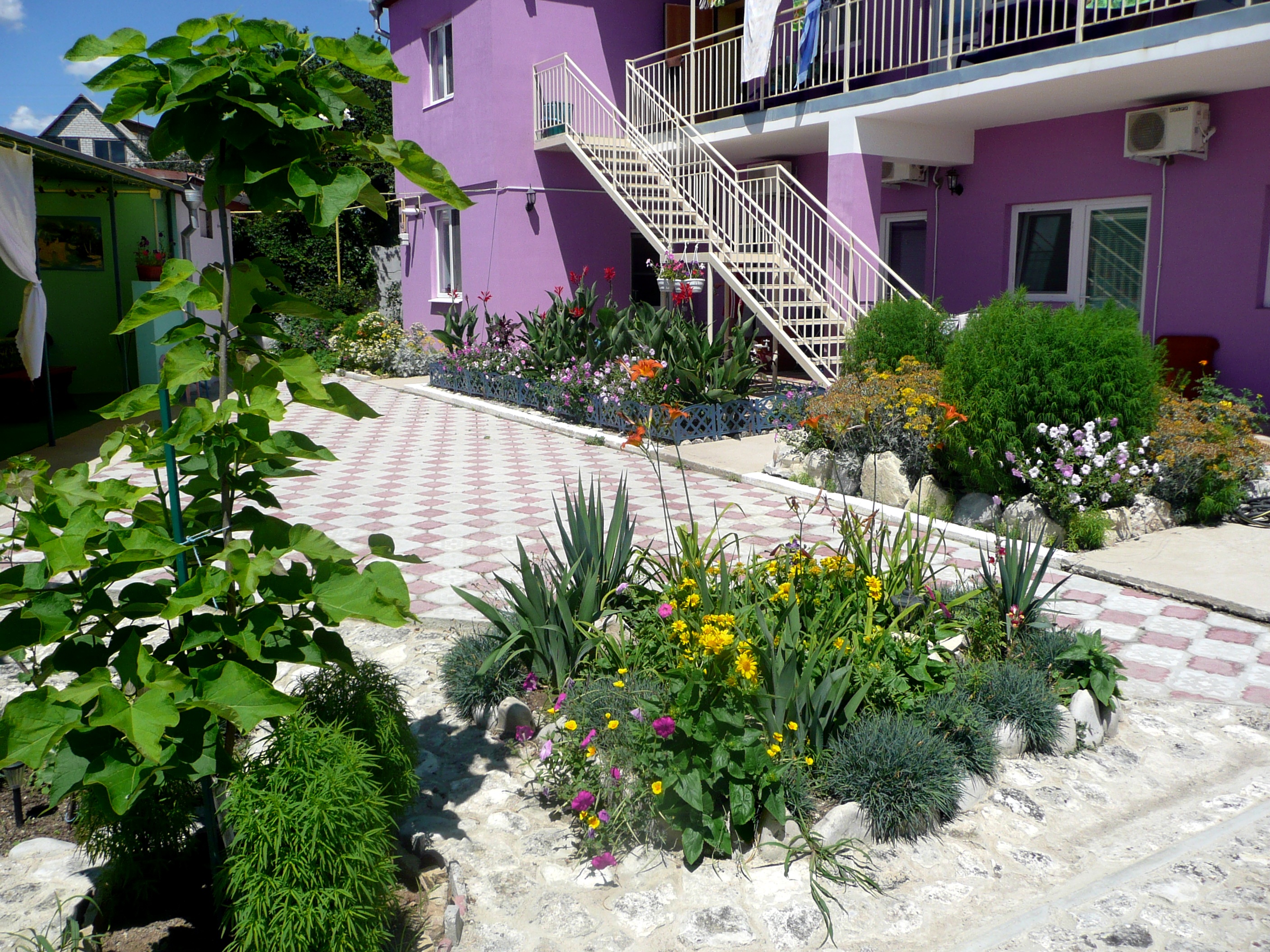 Фото Фортуна