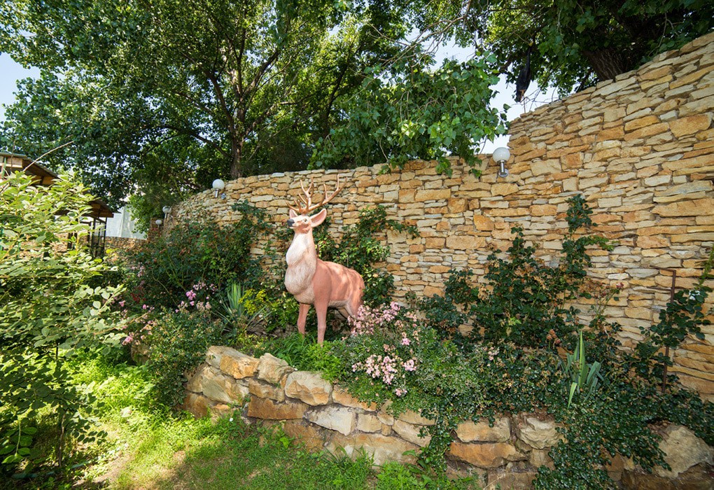 Фото Южная ночь