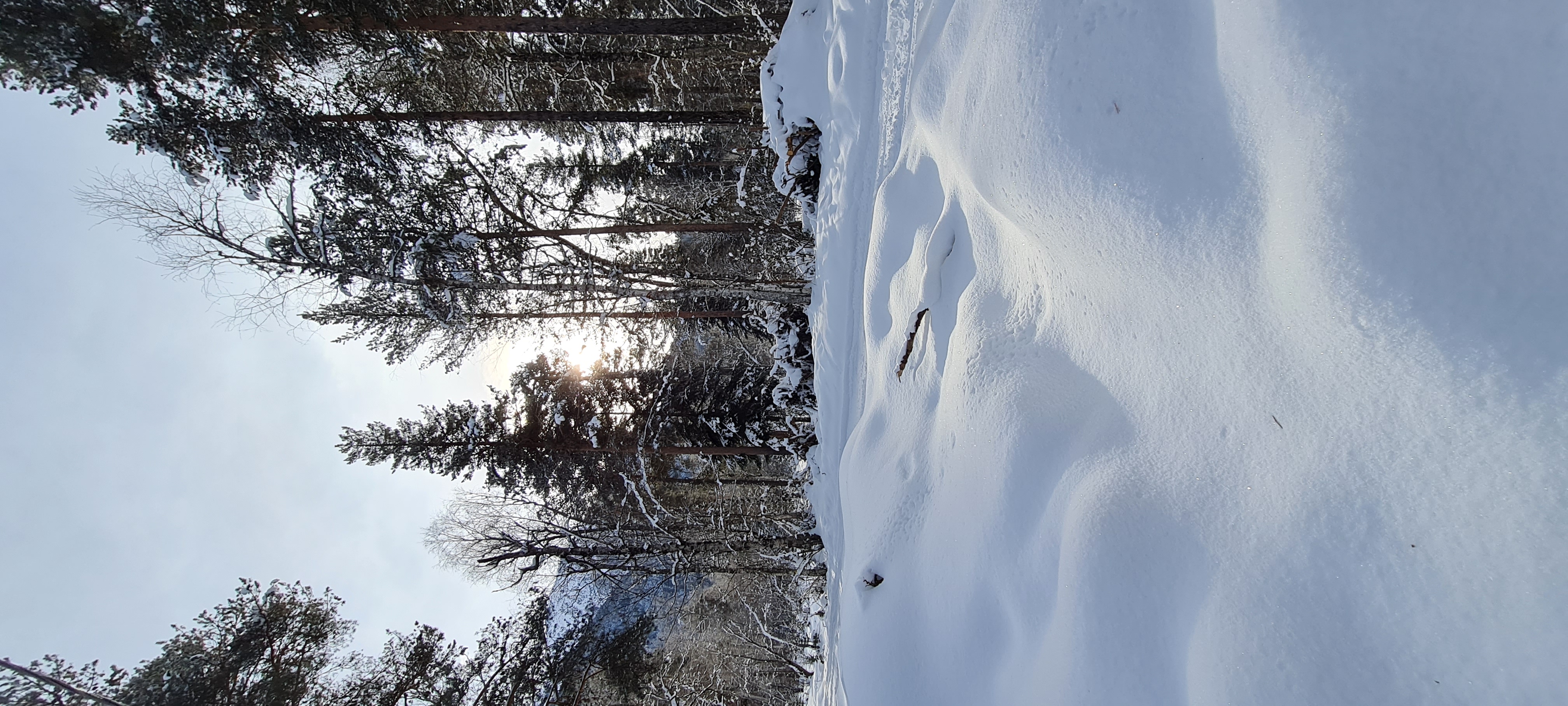 Фото Аксакал