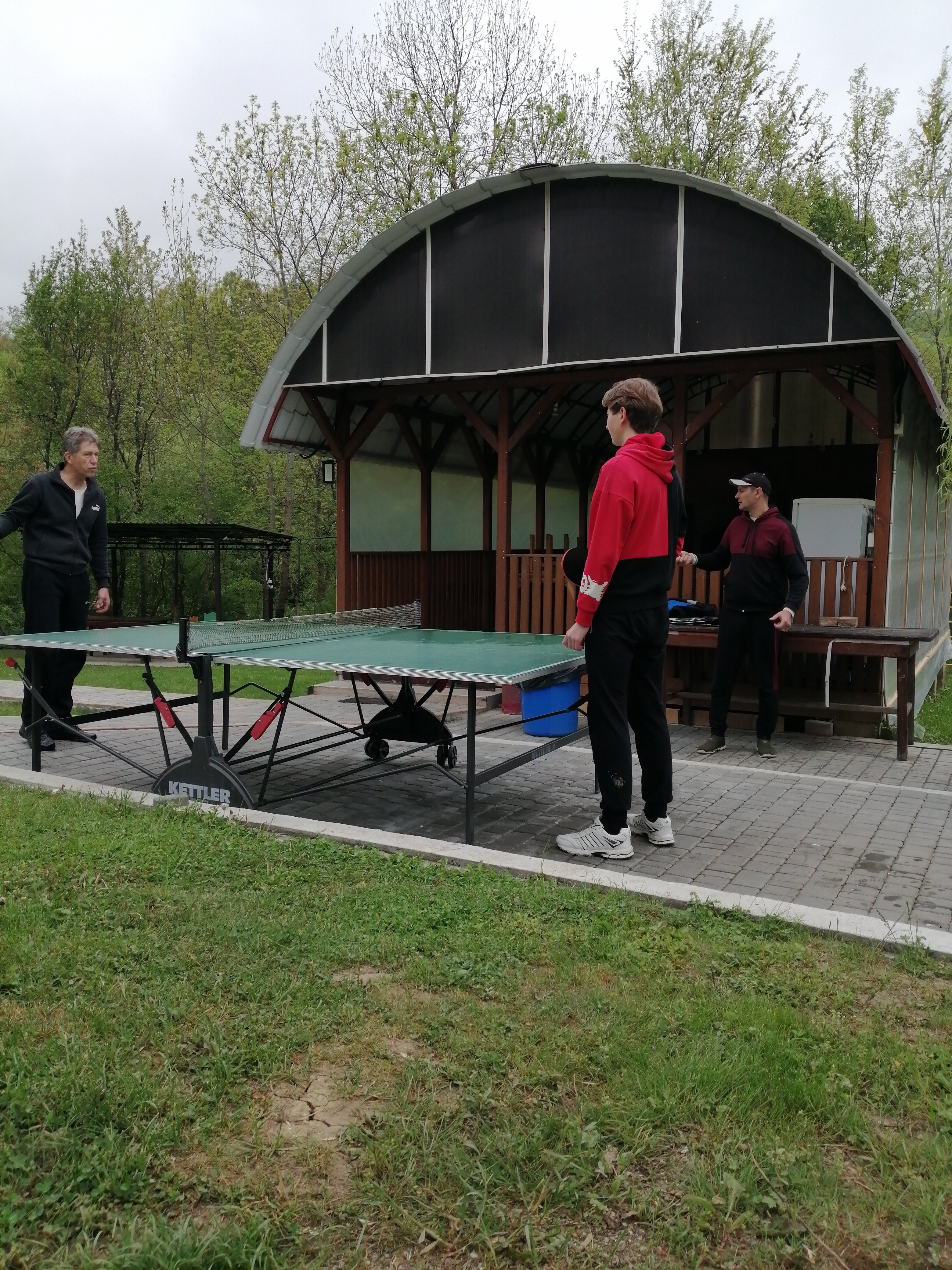 Фото Пальмира