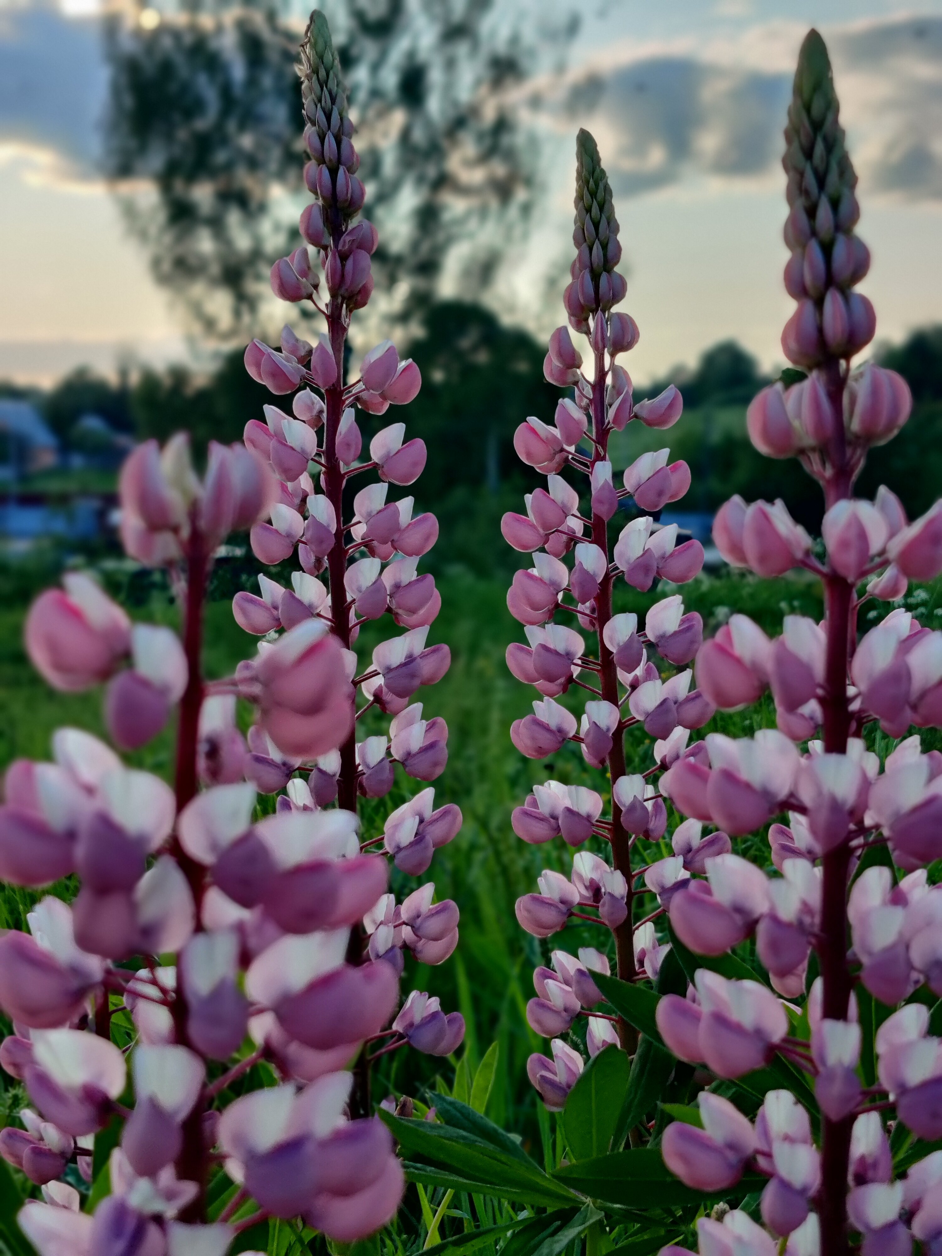 Фото Рядом Даль