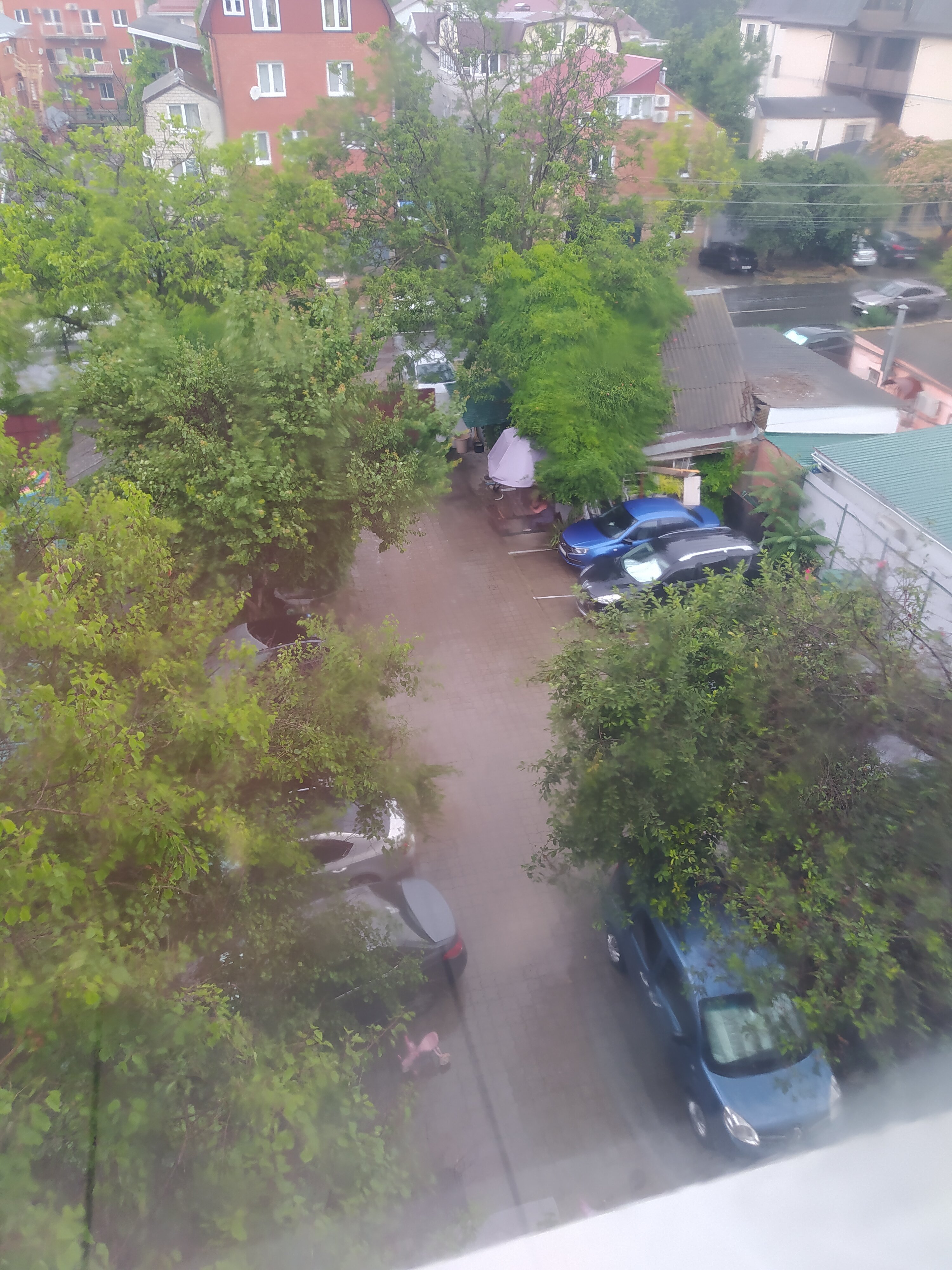 Фото Светлана