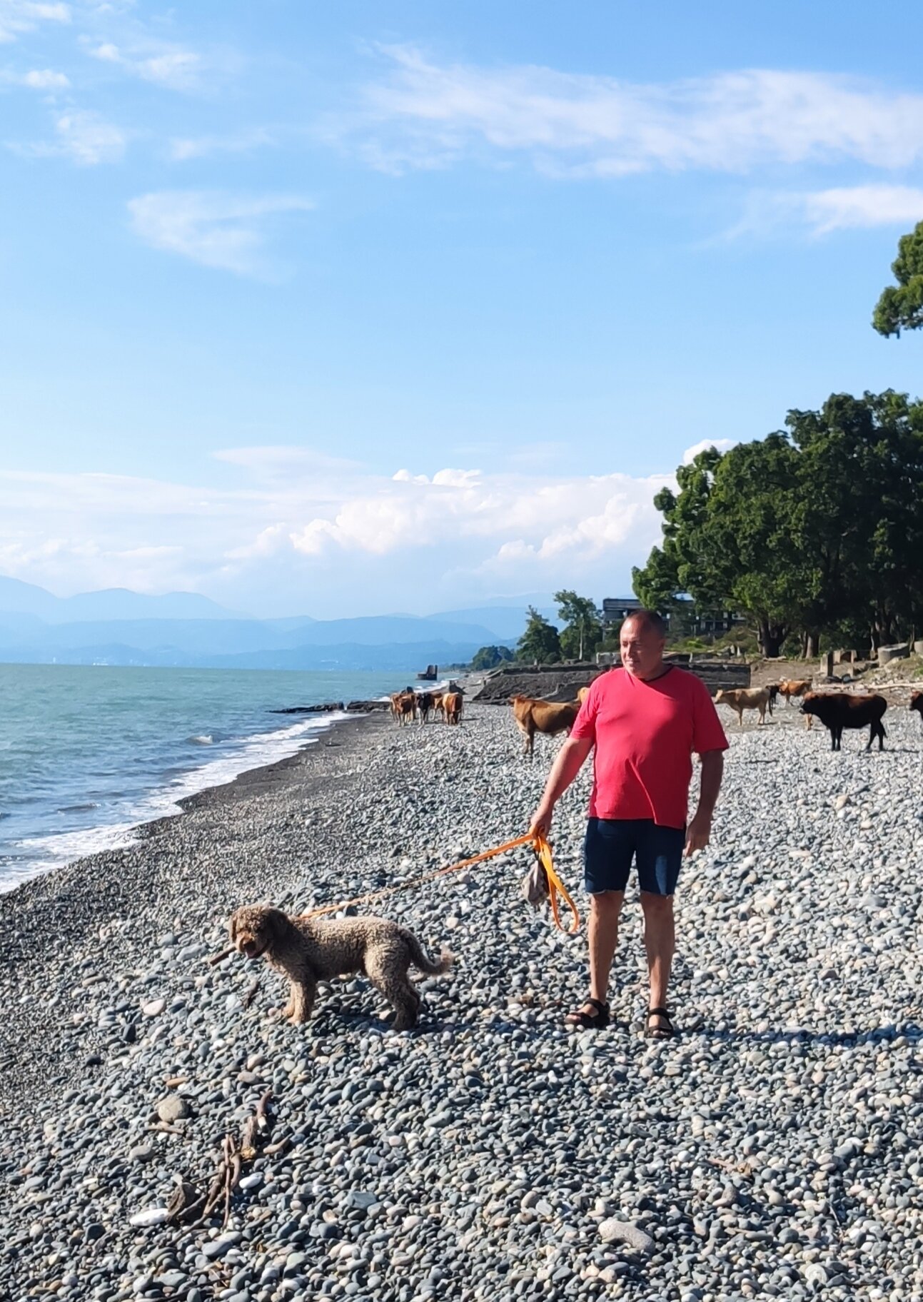 Фото Мандариновый берег