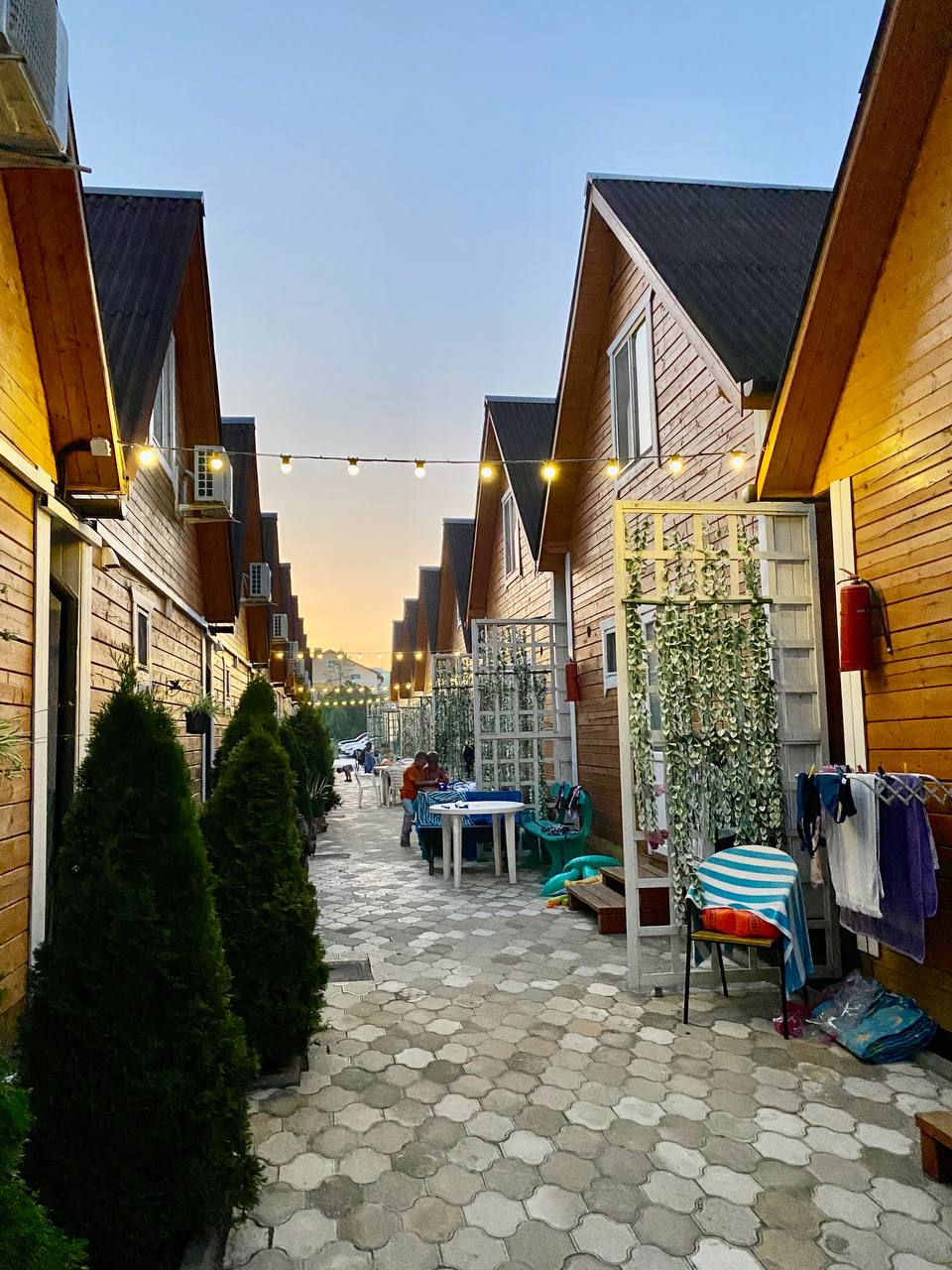 Фото Арабеска