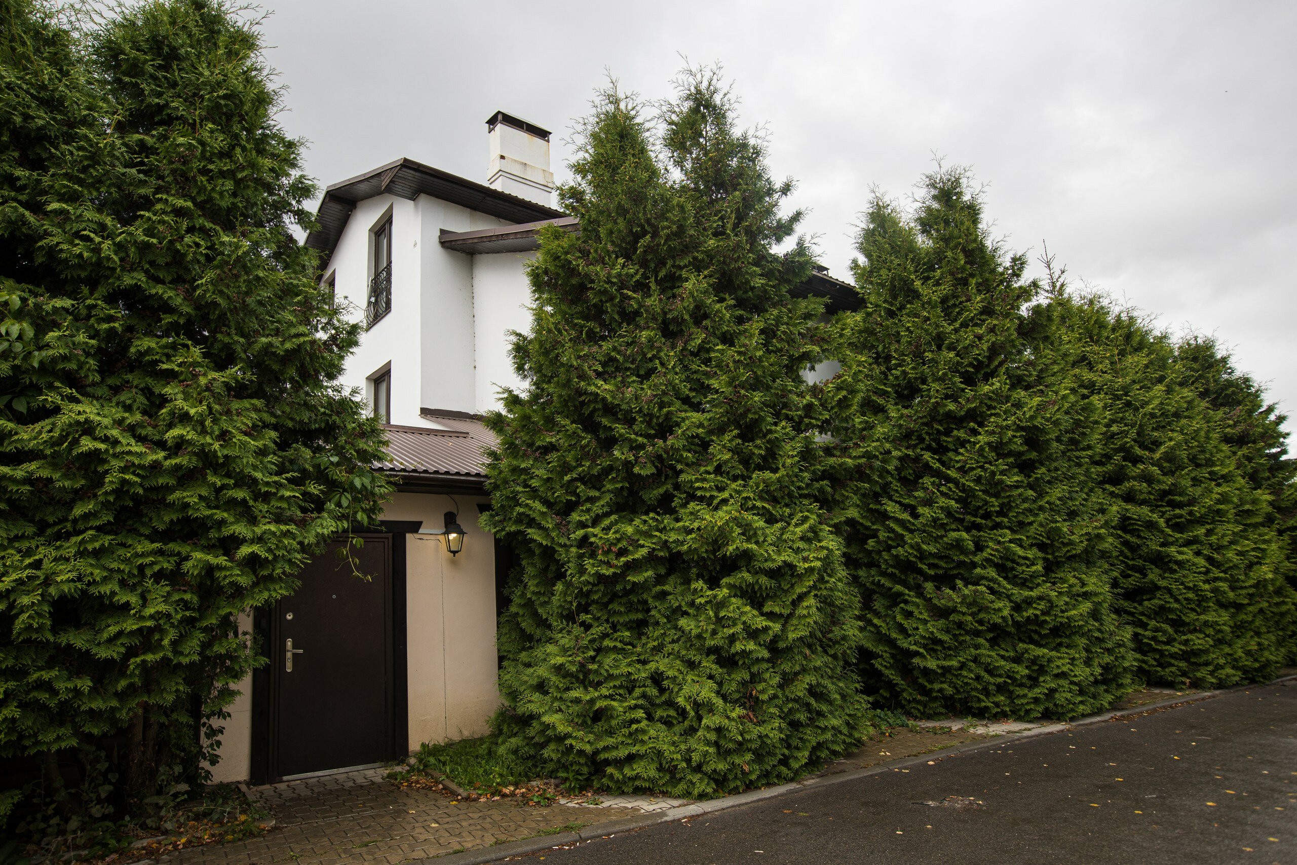 Фото Панорама