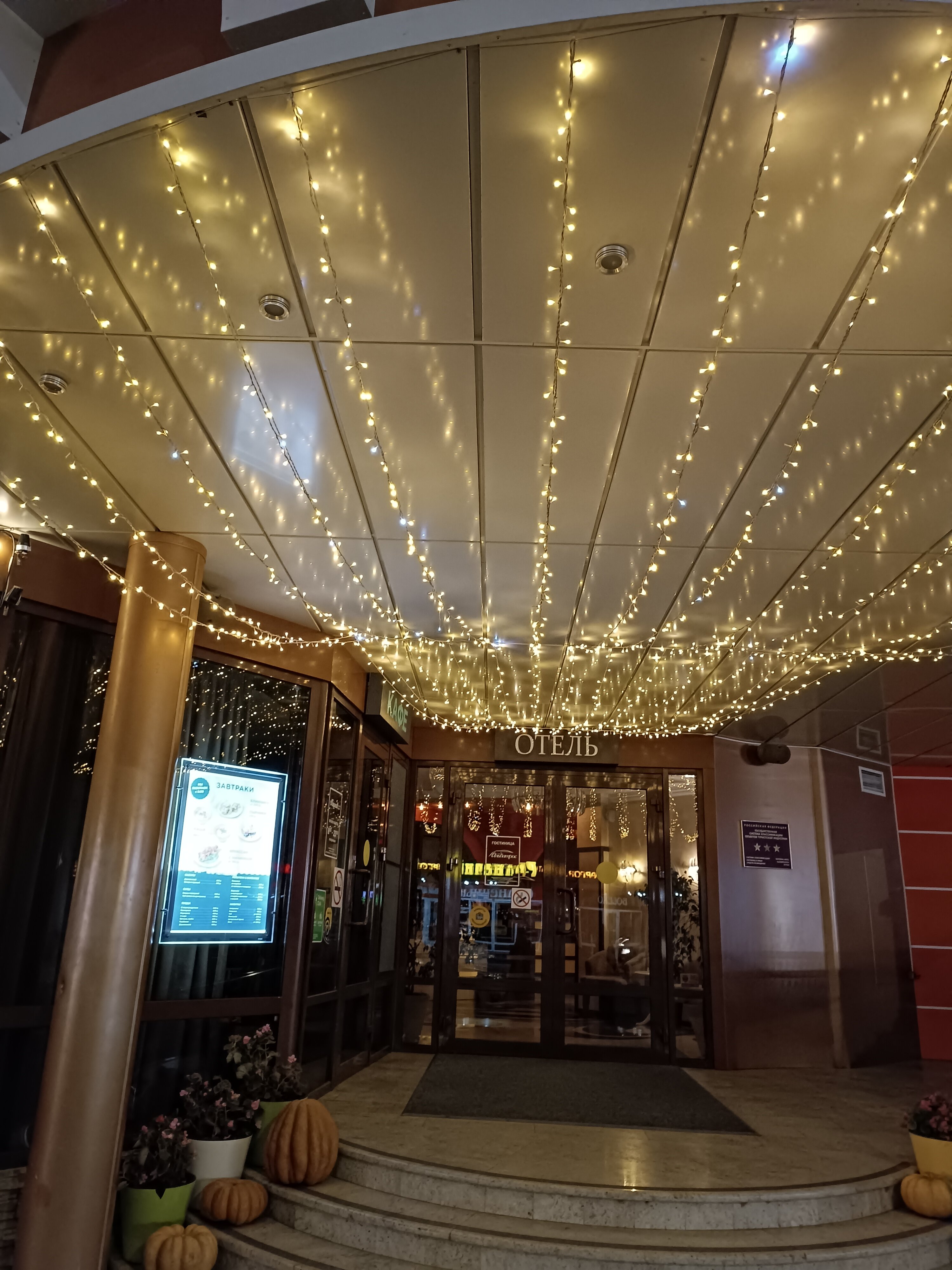 Фото Альбатрос