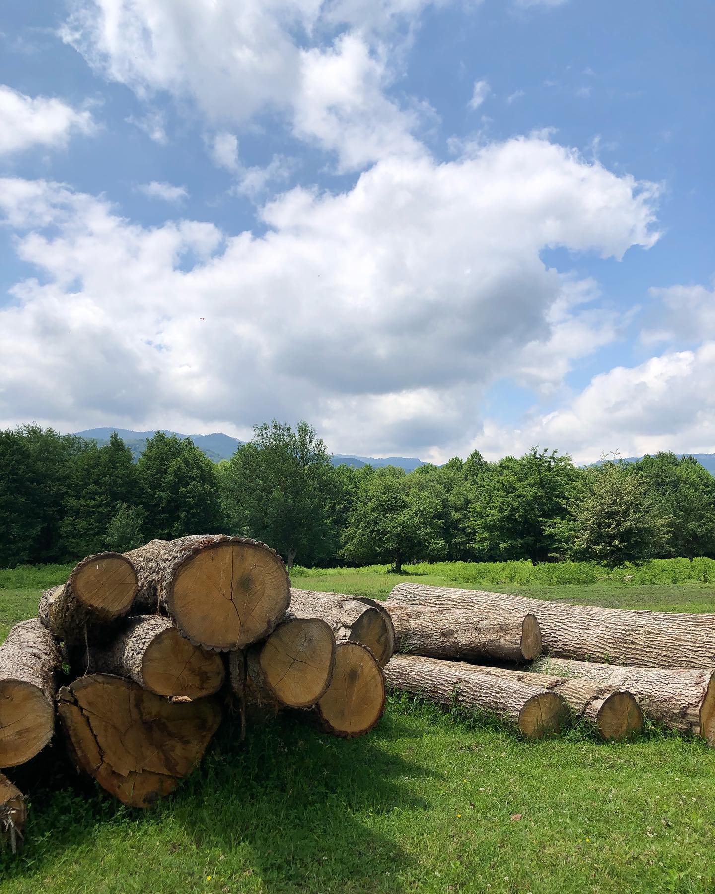 Фото Горное Шале