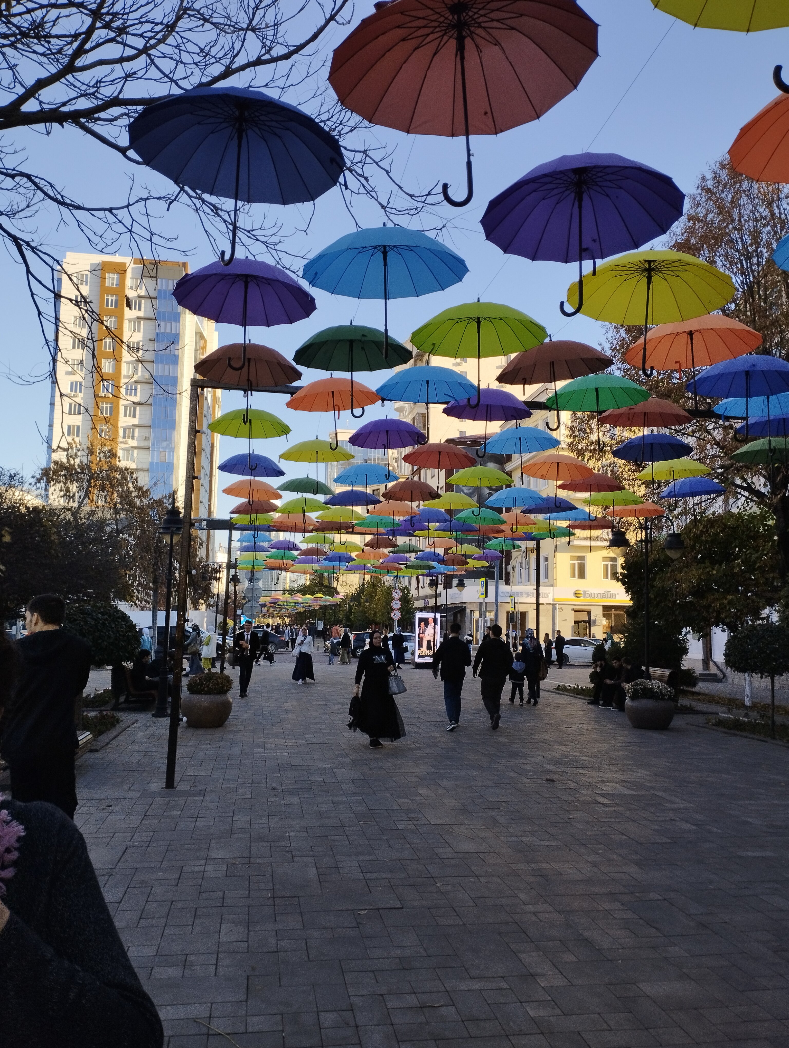 Фото Беркат