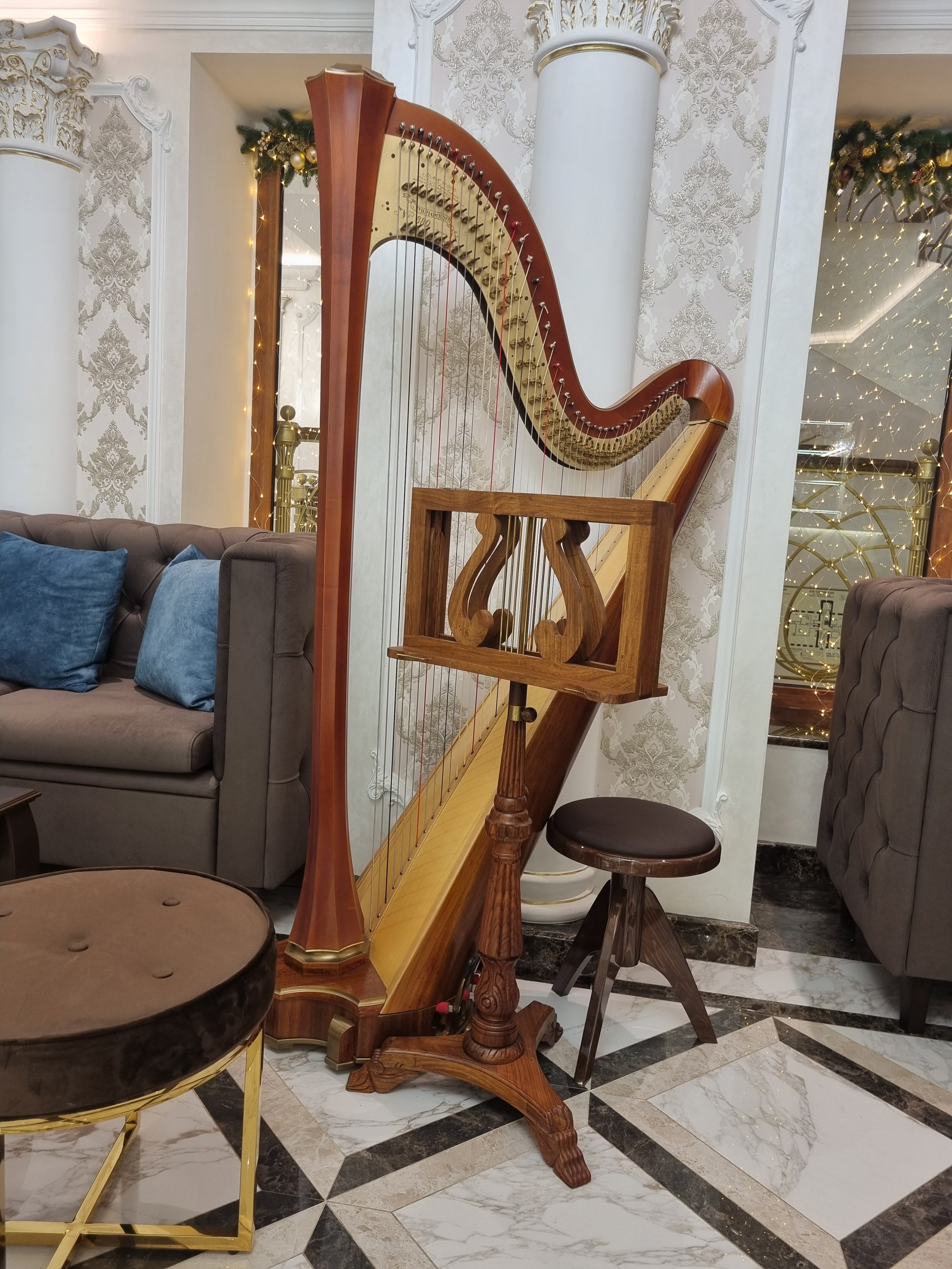 Фото Magic Harp