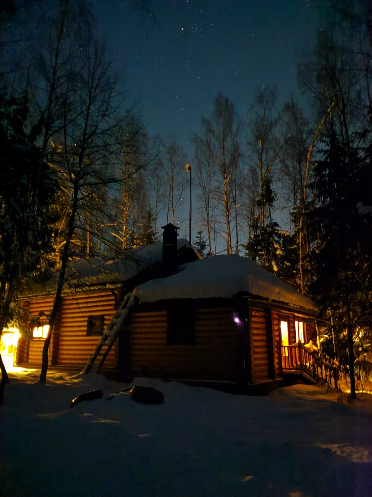 Фото Дикий Лис