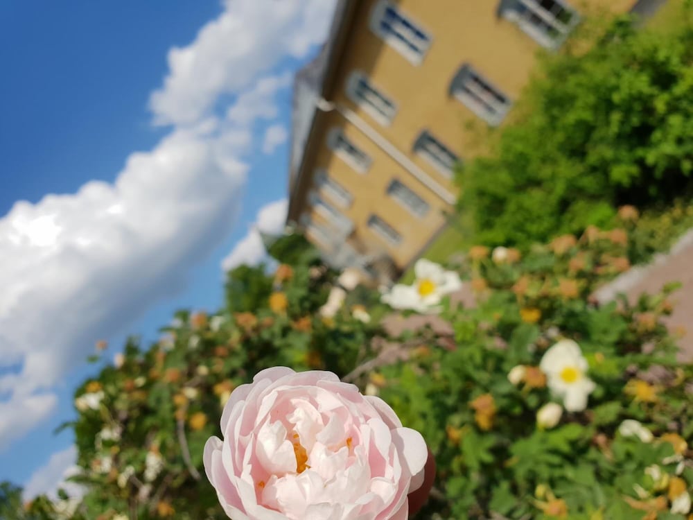 Фото Hedemora stadshotell