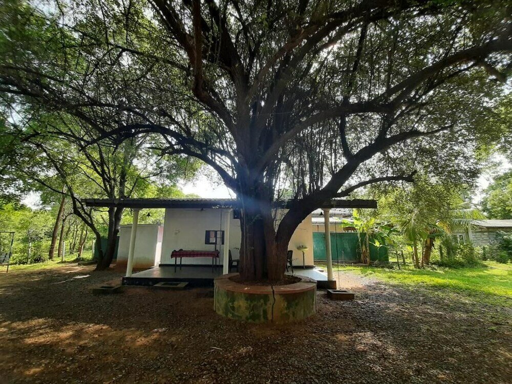 Фото Katagamuwa Rest