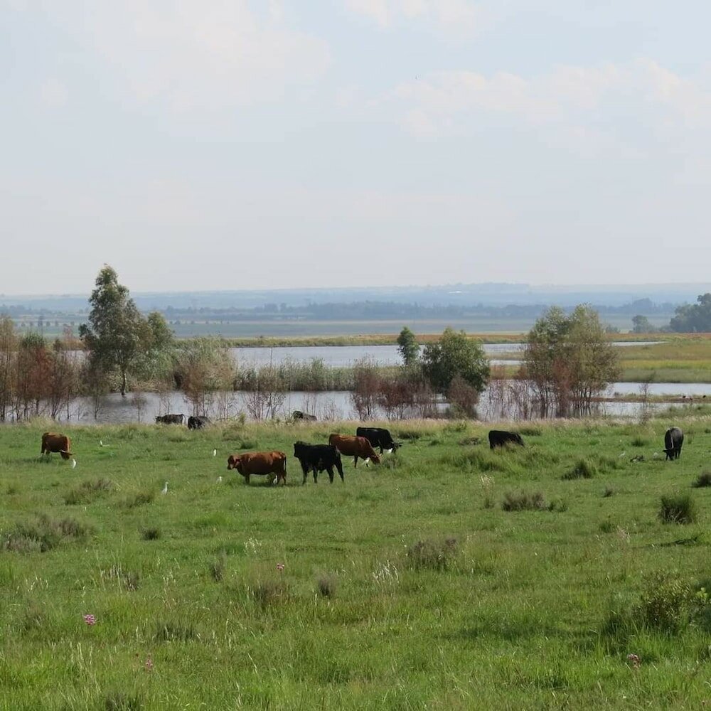 Фото Diamantvallei Landgoed