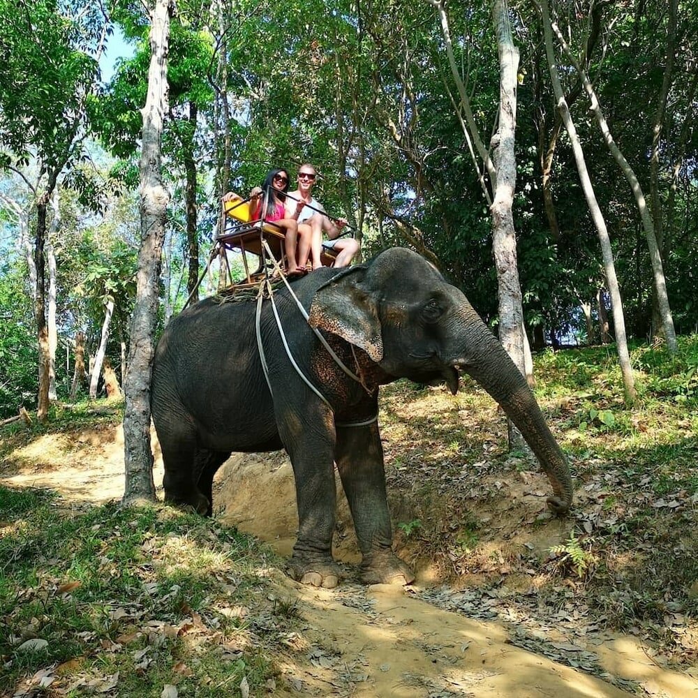 Фото Phoenix Hotel Karon Beach