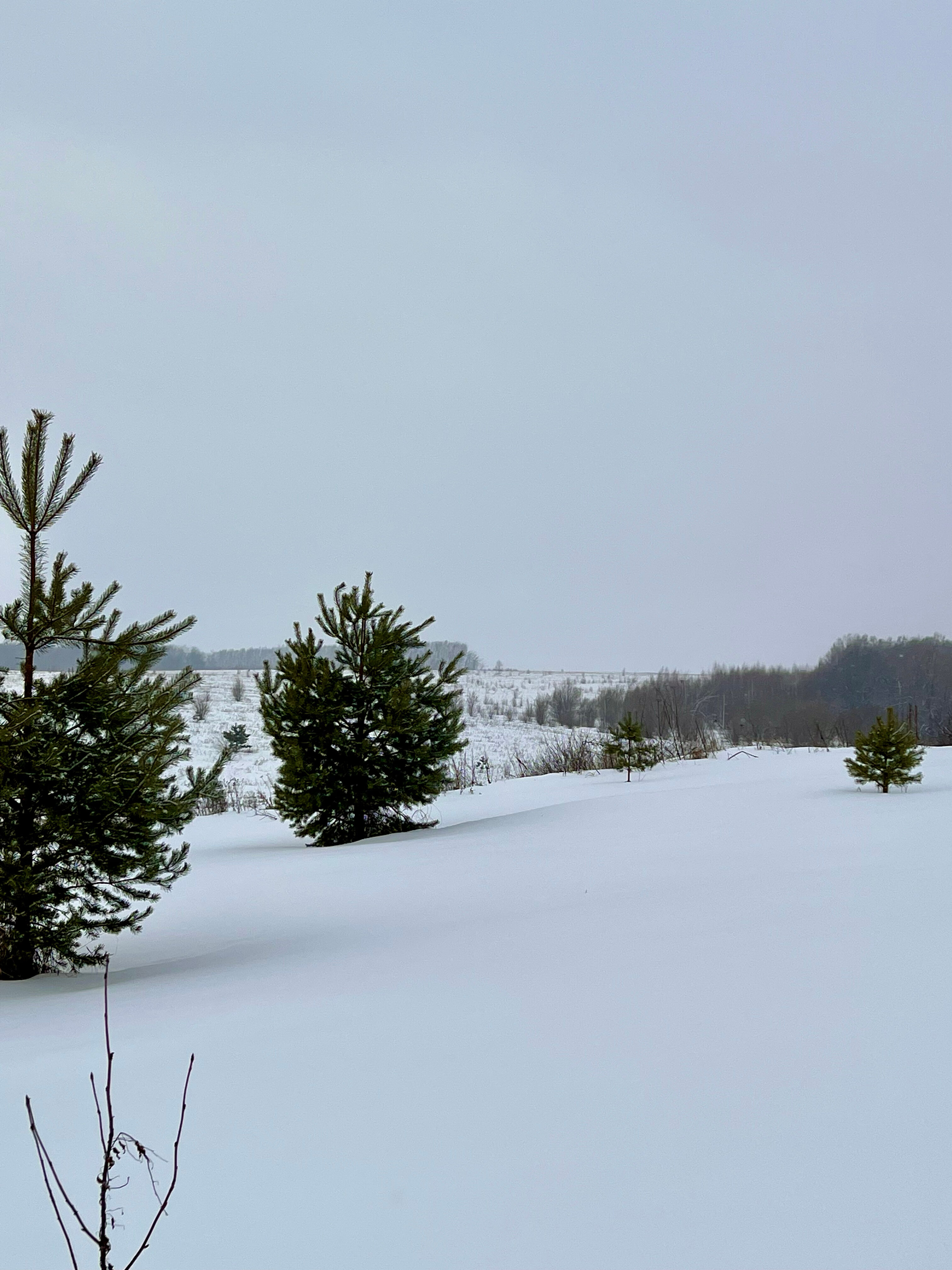 Фото Дом в Кузнецово